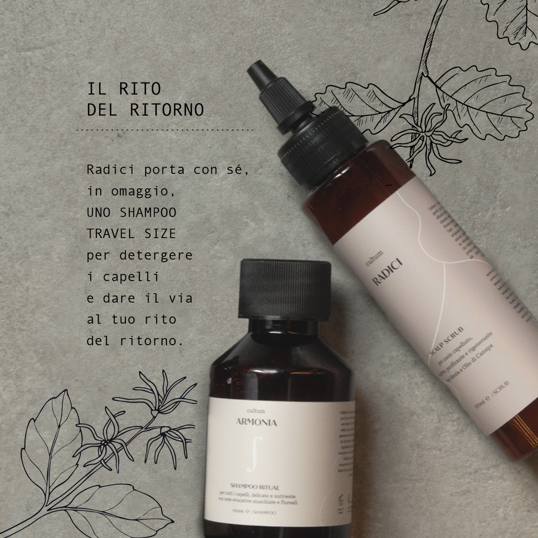 Scrub Purificante Radici + (shampoo Armonia in omaggio)