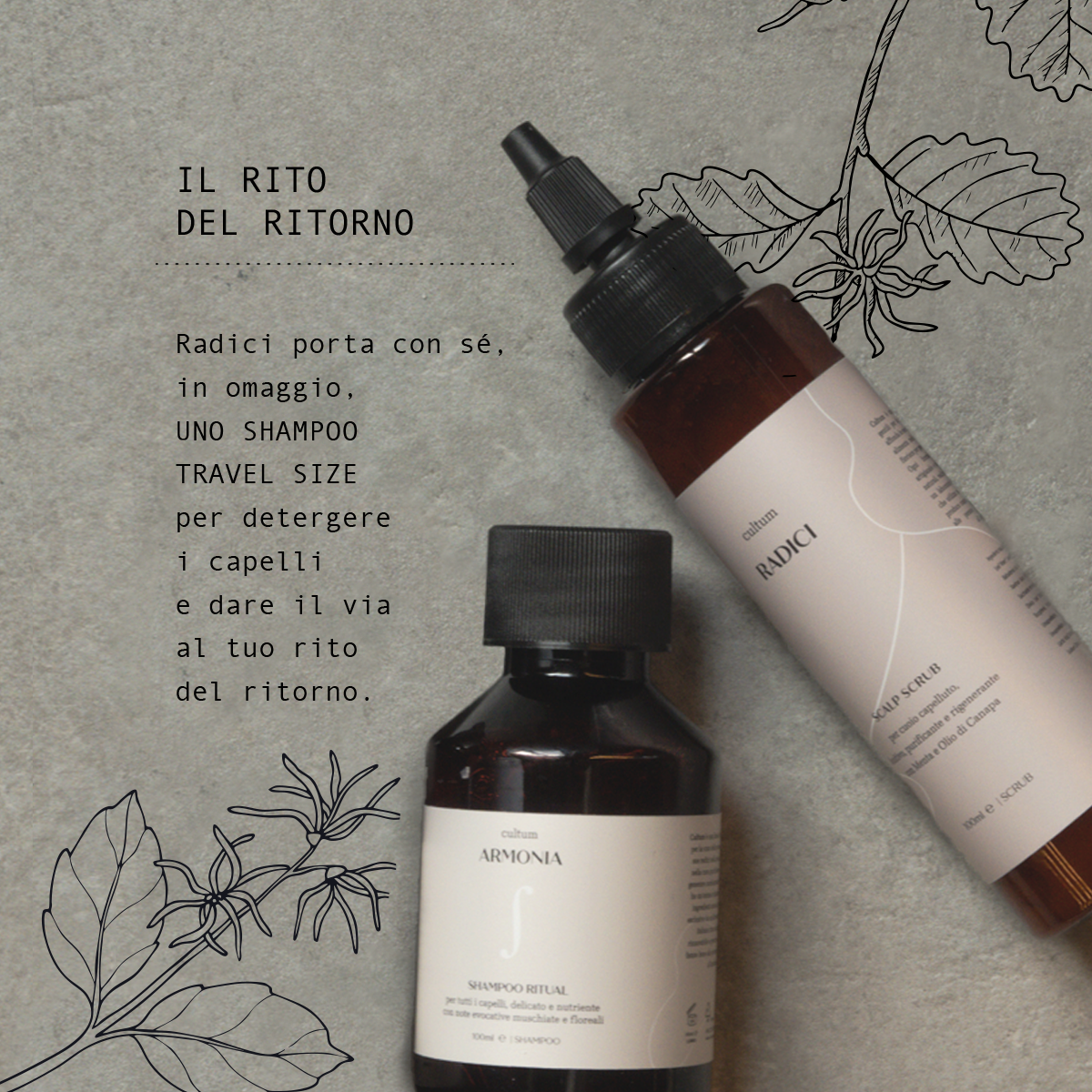Scalp Scrub Radici